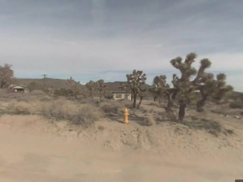 Desert landscape with Joshua trees, sandy ground, small house, and cloudy sky.
