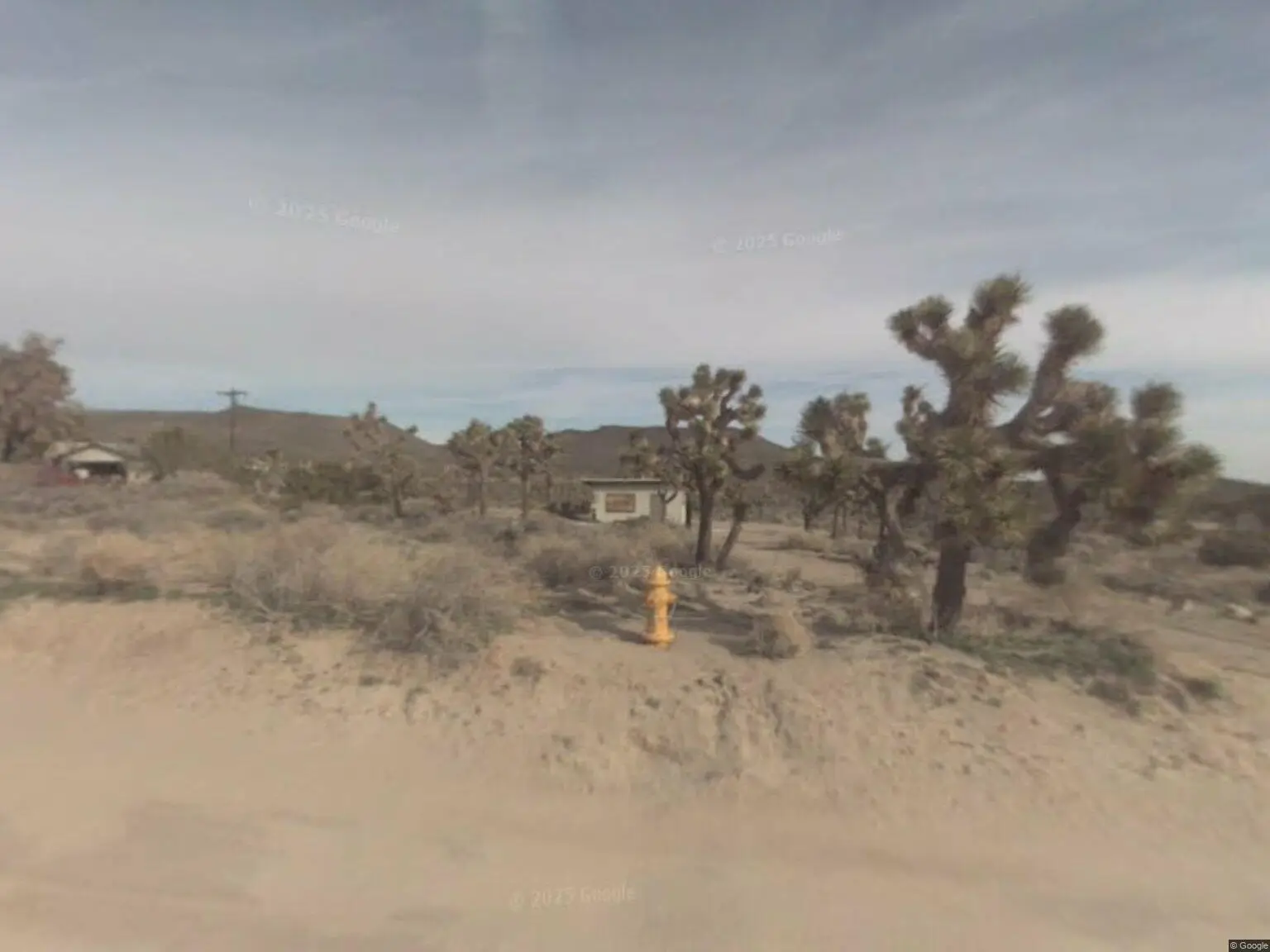 Desert landscape with Joshua trees, sandy ground, small house, and cloudy sky.
